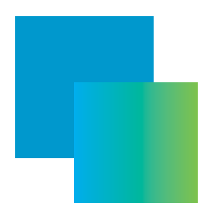 Website Design & Development